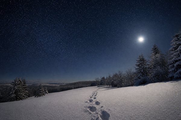 The Footprints of the Unseen
